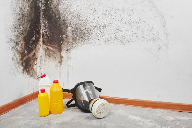 Water damage restoration mold remediation in Louisa, VA